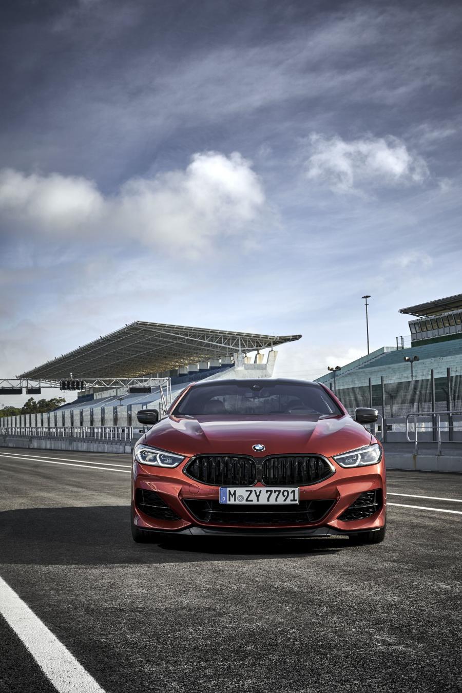  BMW M850i xDrive Carbon Package (G15) 2018 года  (WW) (фото 6 из 287)